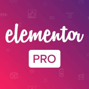 elementor-pro-thenocgroup